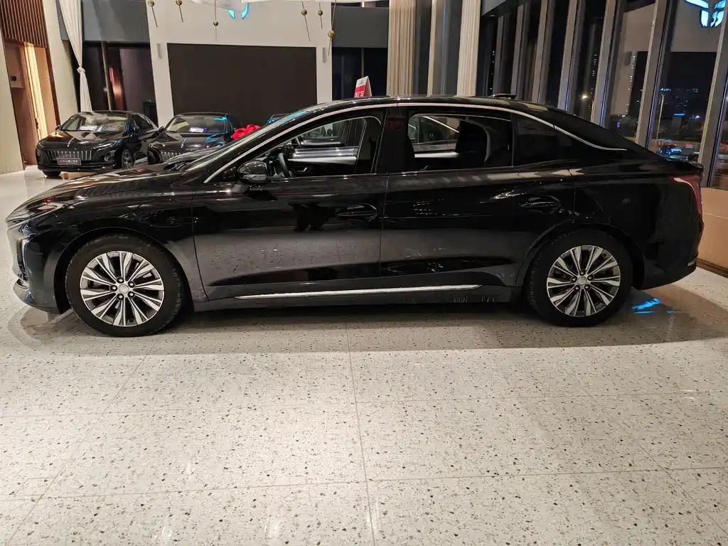 Hongqi HONGQI E QM5