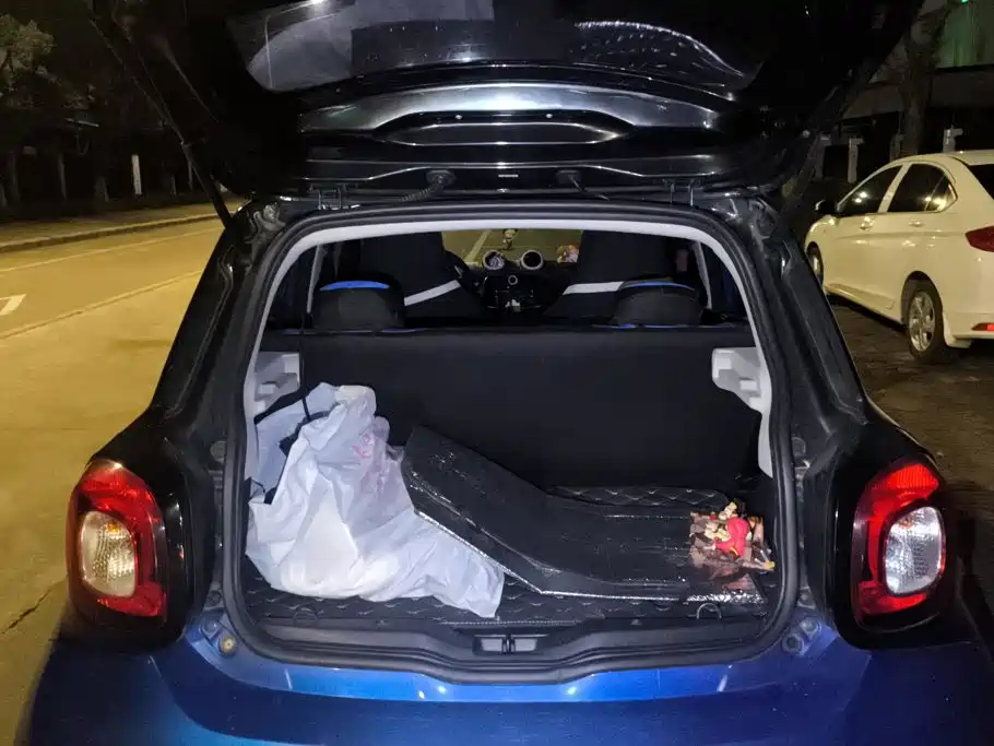 smart Smart Forfour — миниатюра 4