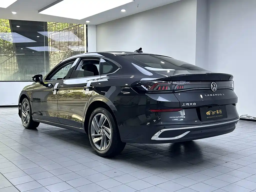 Volkswagen Lamando — миниатюра 7