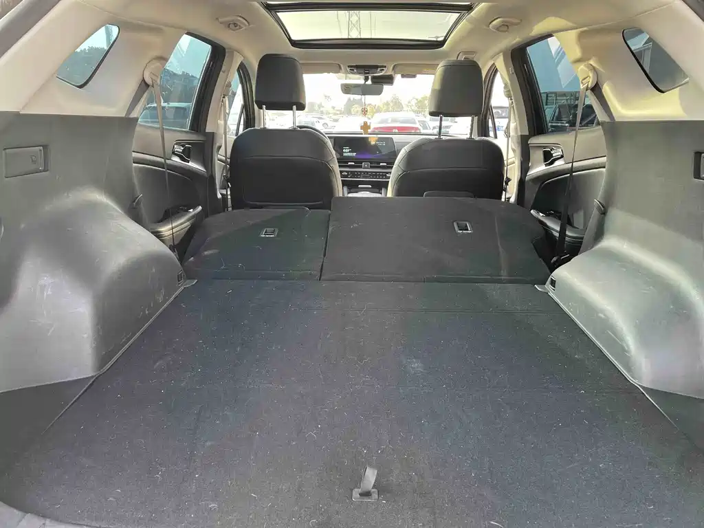 KIA LION PLATINUM EXPANDS THE WORLD