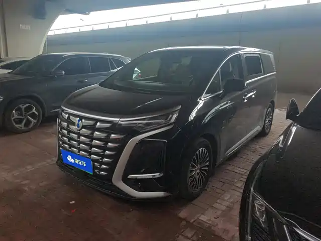 2024 Denza D9