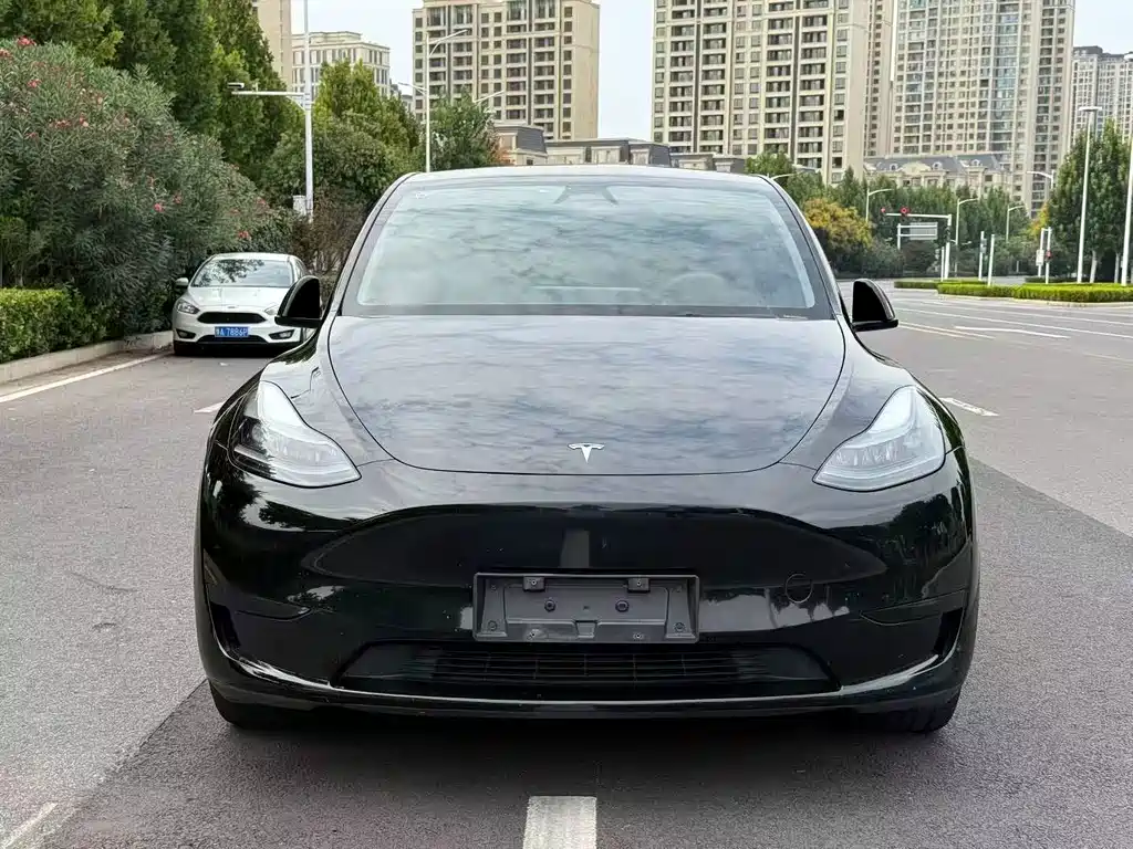 Tesla Model Y — миниатюра 2