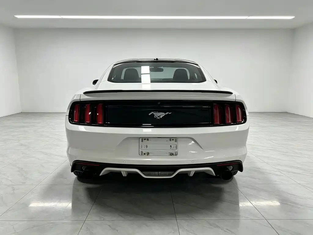 Ford Mustang — миниатюра 13