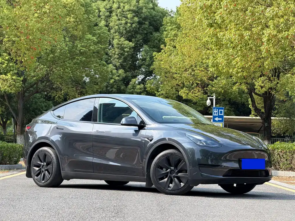 Tesla Model Y — миниатюра 3