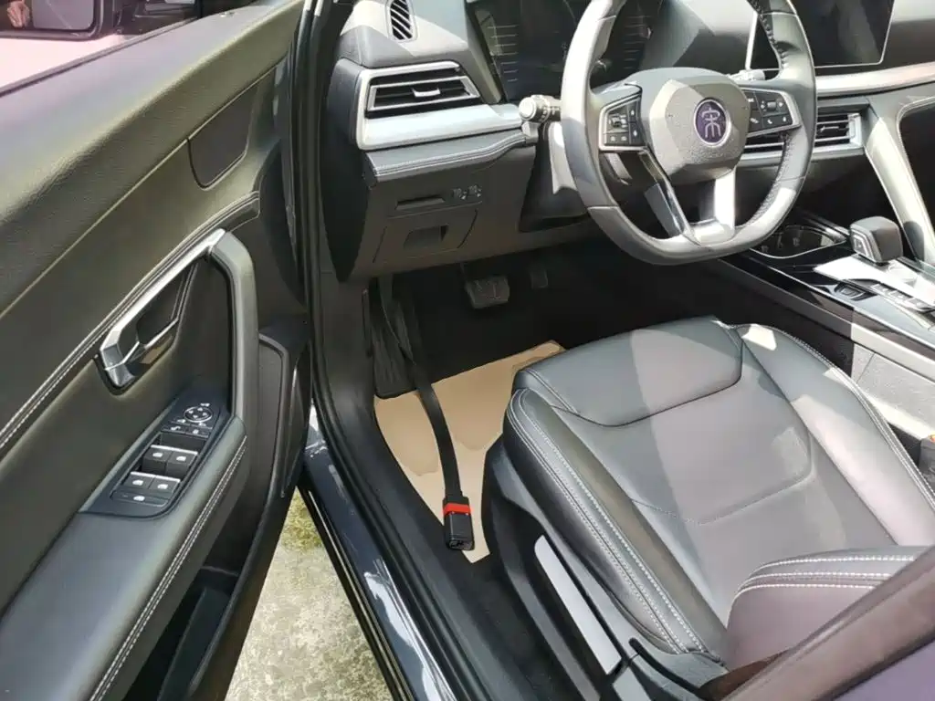BYD Pro — миниатюра 16