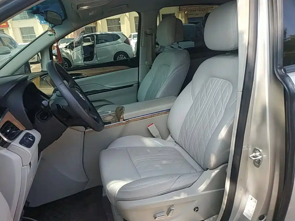 Buick GL8 — миниатюра 15