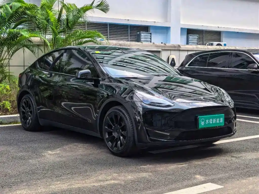 Tesla Model Y — миниатюра 11