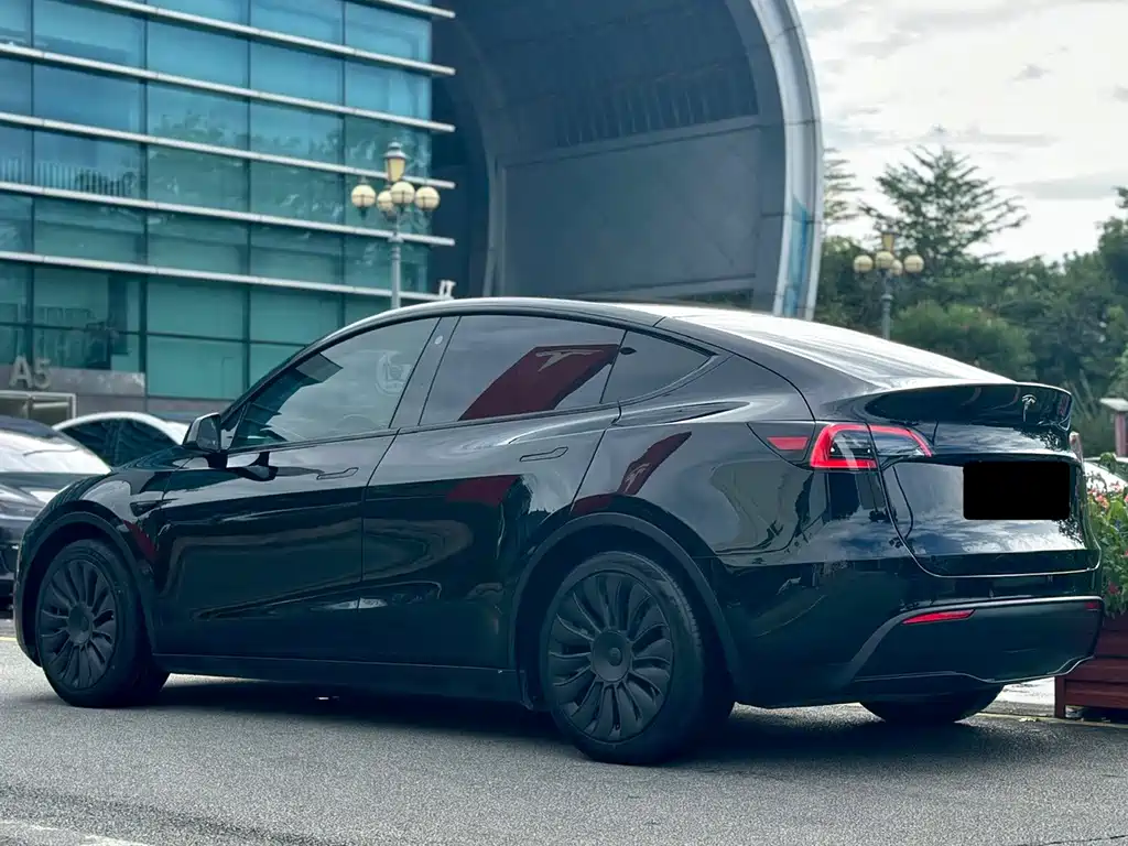 Tesla Model Y — миниатюра 6