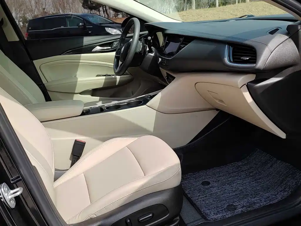 Buick Regal — миниатюра 11