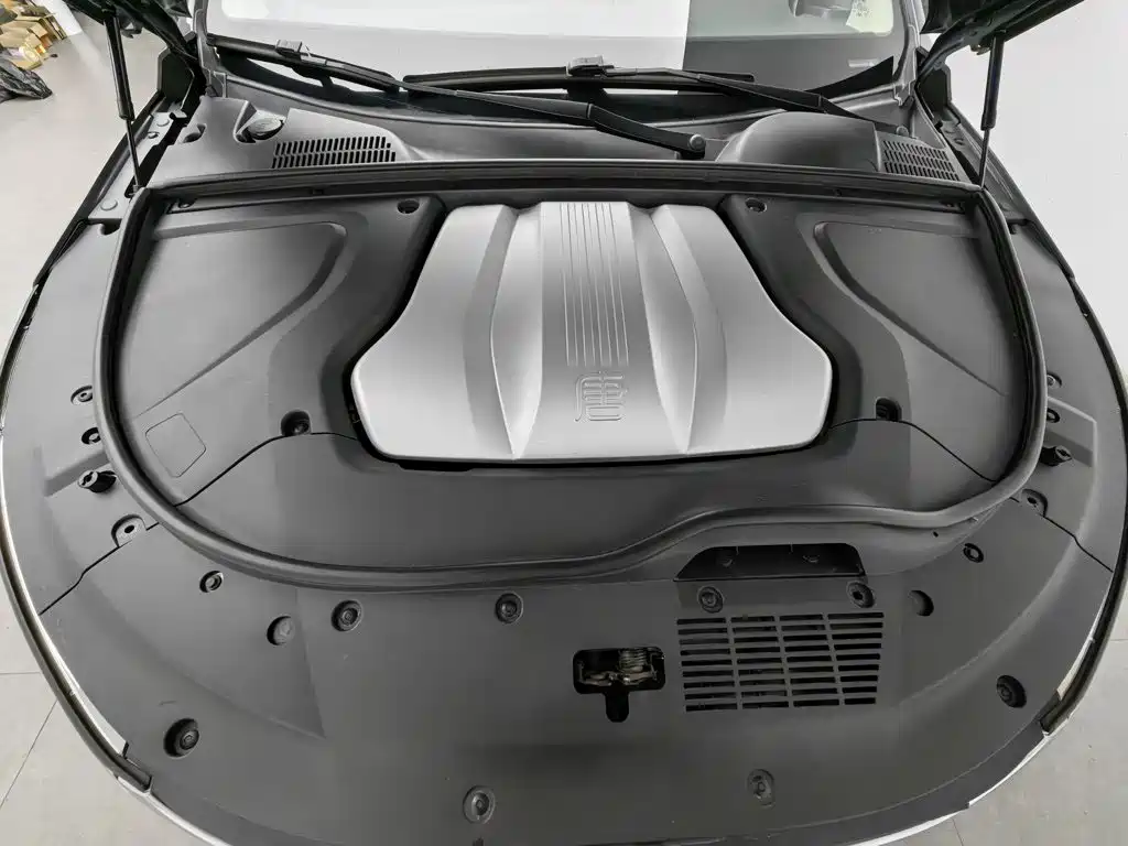 BYD Tang New Energy — миниатюра 6