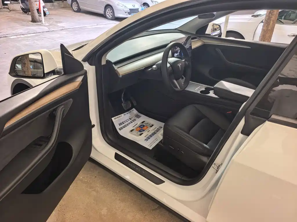 Tesla Model Y — миниатюра 4