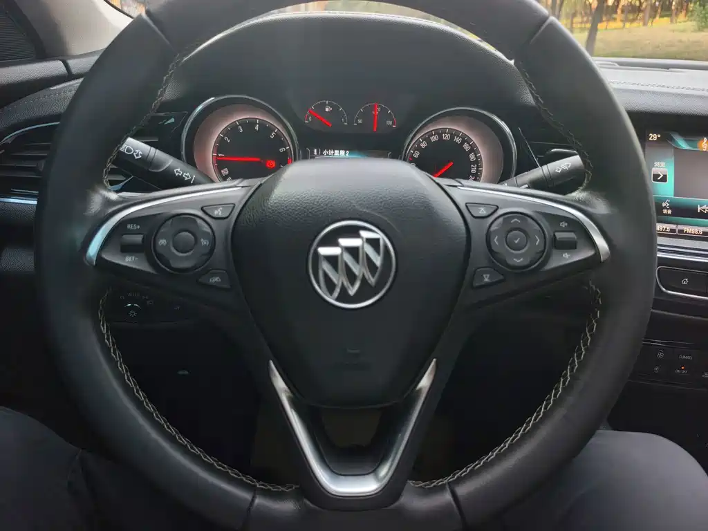 Buick Regal — миниатюра 11
