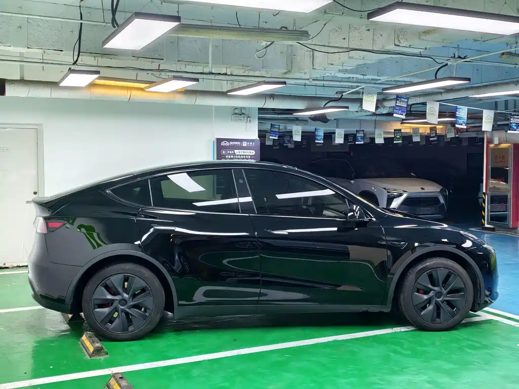 Tesla Model Y — миниатюра 6
