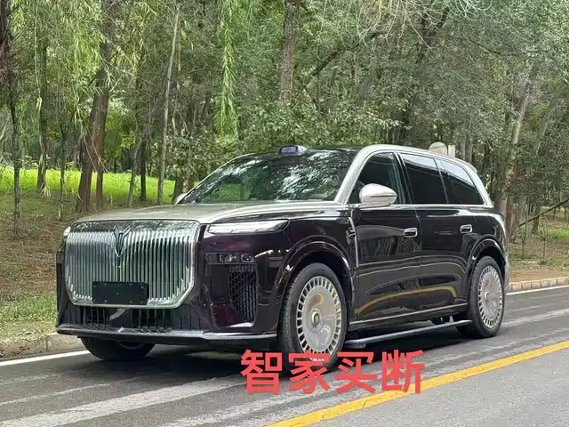 2025 Voyah