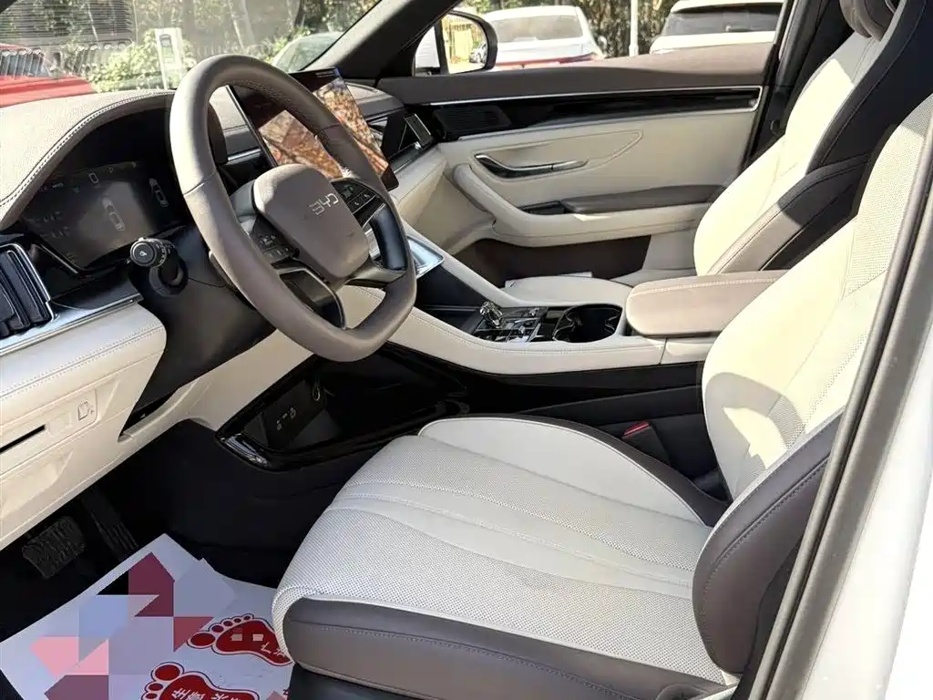 BYD SONGJIANG NEW ENERGY