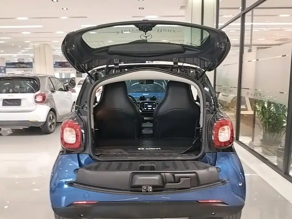 smart Smart Fortwo — миниатюра 19