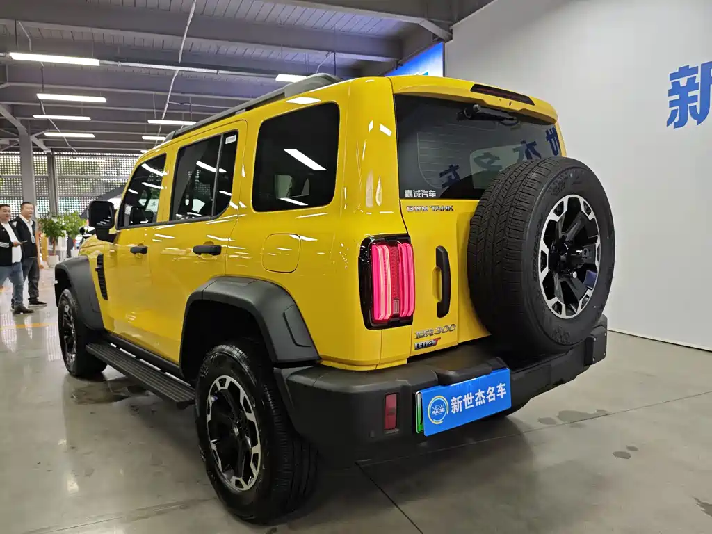 Tank Tank 300L New Energy — миниатюра 15