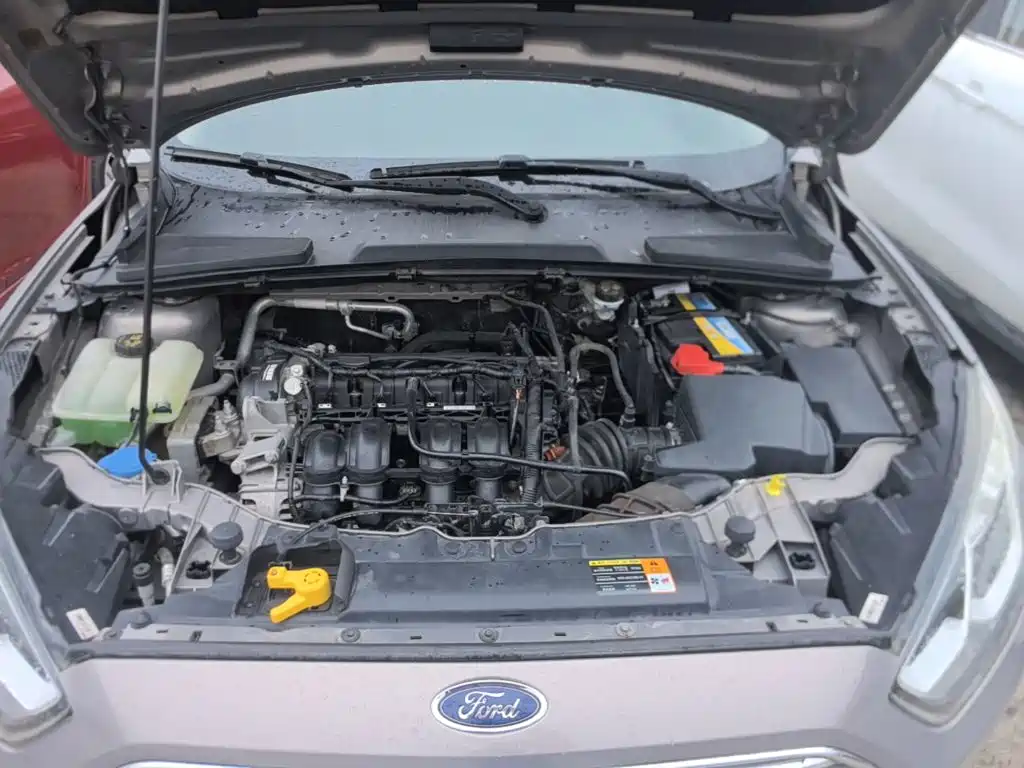 Ford Escort — миниатюра 20