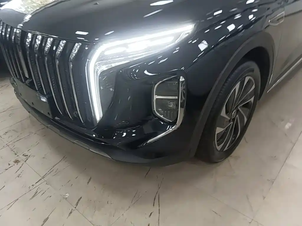 Hongqi Hongqi HS7 PHEV — миниатюра 24