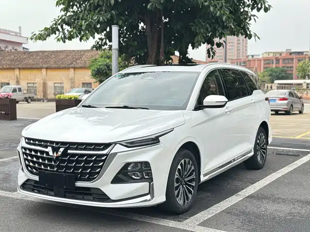 WULING WULING CAPGEMINI 2023