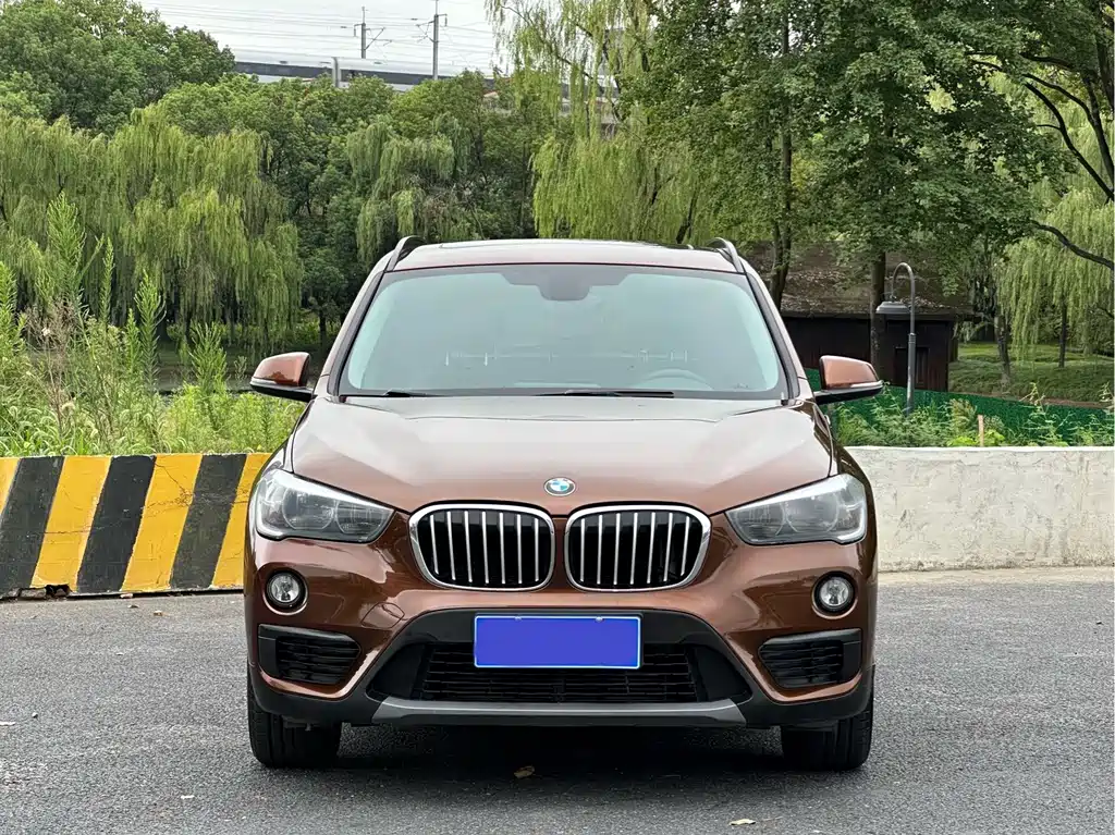 BMW X1 — миниатюра 2