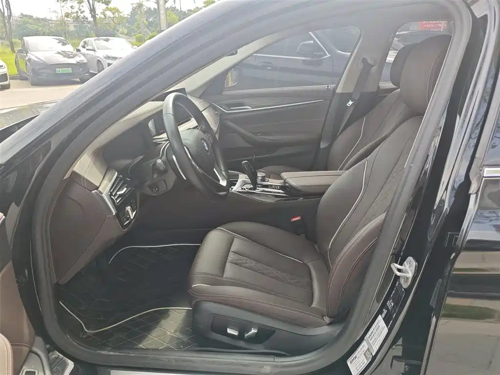 BMW 5 Series 5 2021 530Li Lead Luxury