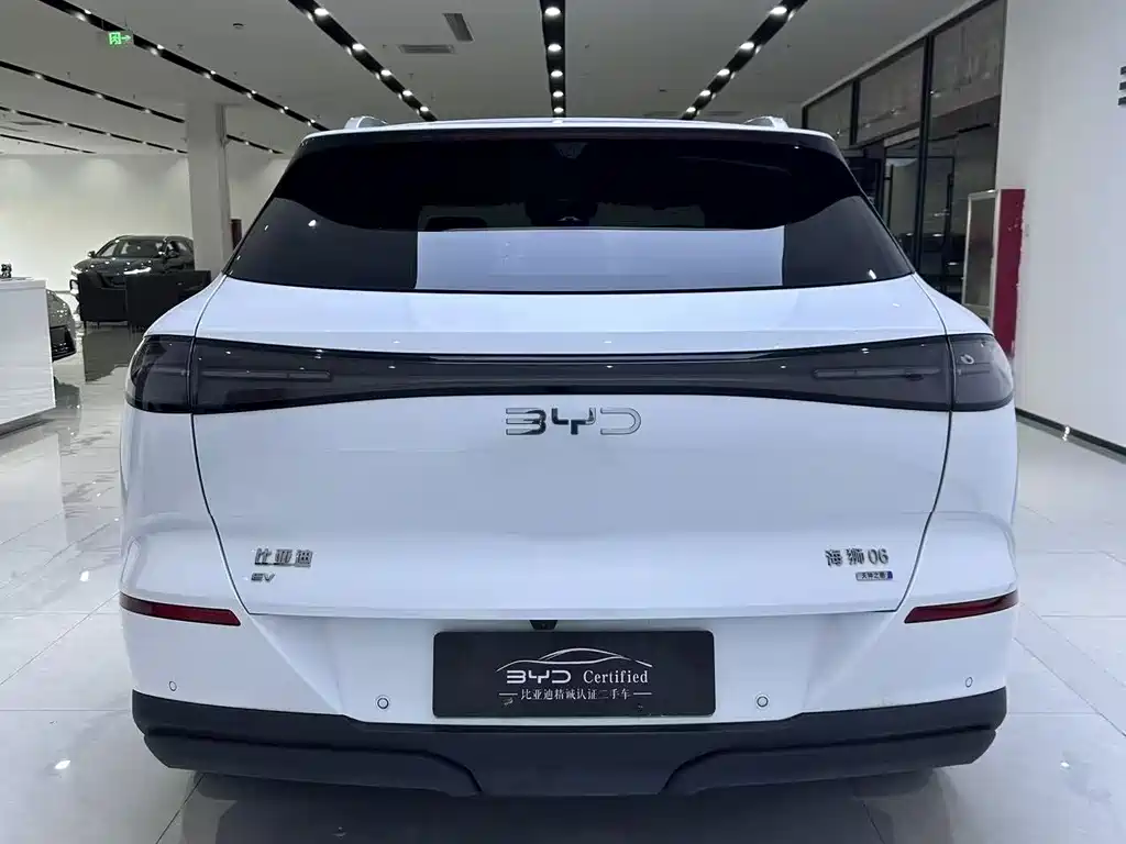 BYD Sealion 06 — миниатюра 10