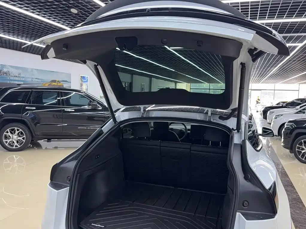 Tesla Model Y — миниатюра 19