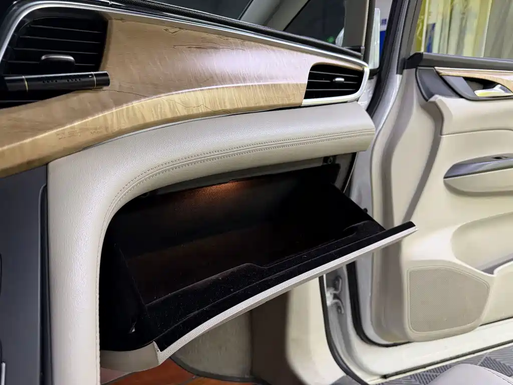 Buick GL8 — миниатюра 17