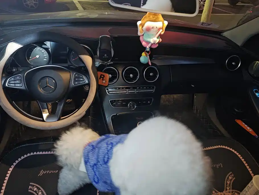 Mercedes-Benz C-Class — миниатюра 11