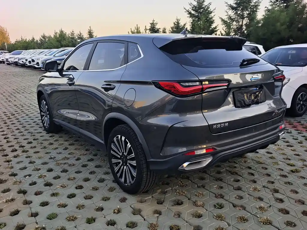 Oshan Oushang X5 — миниатюра 7