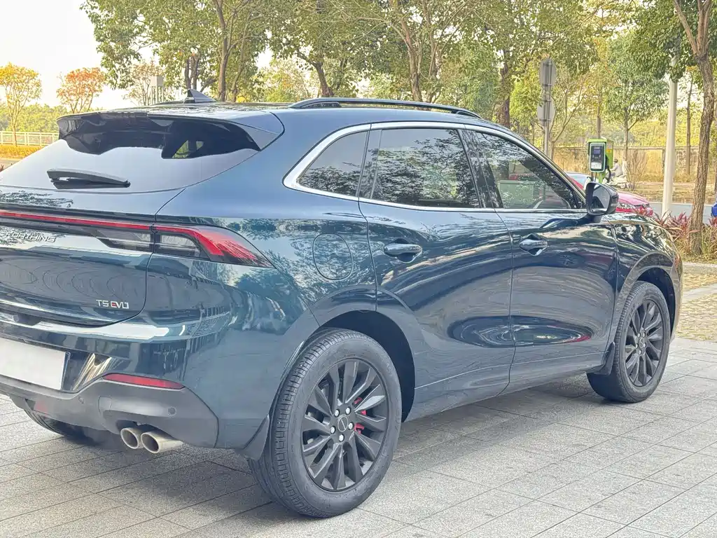 DONGFENG POPULAR T5 EVO