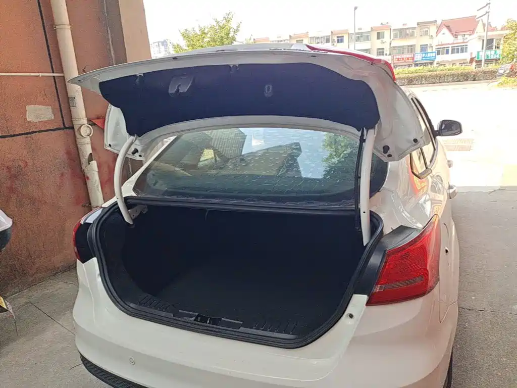 Ford Focus — миниатюра 19