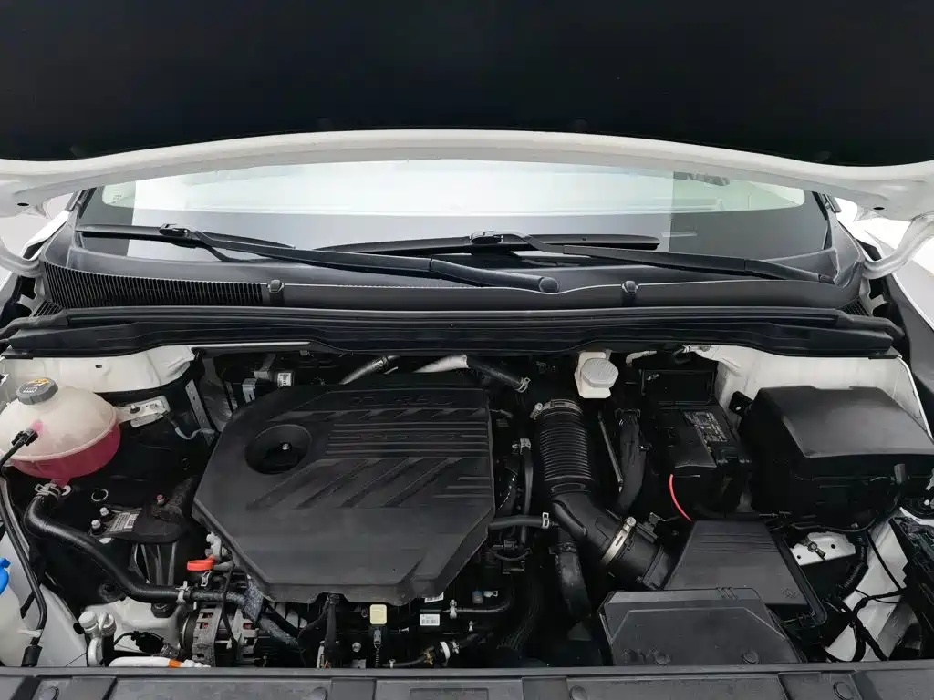 Kia Carnival — миниатюра 7