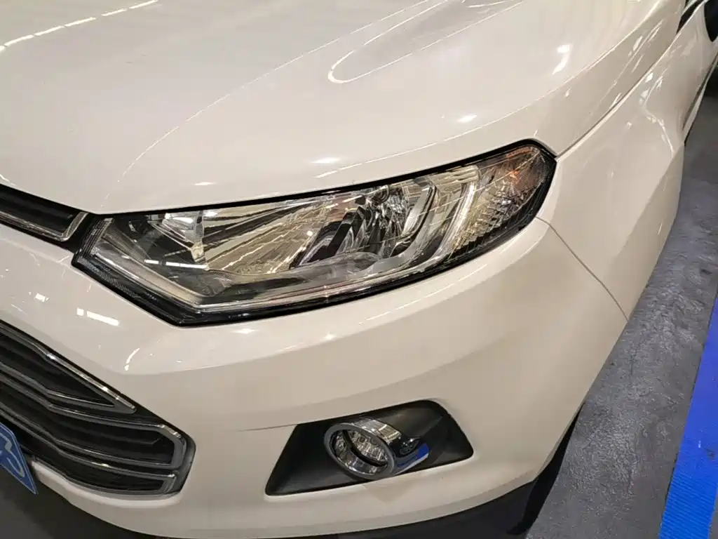 Ford Ecosport — миниатюра 24
