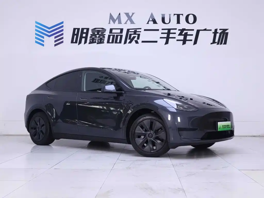 Tesla Model Y — миниатюра 5