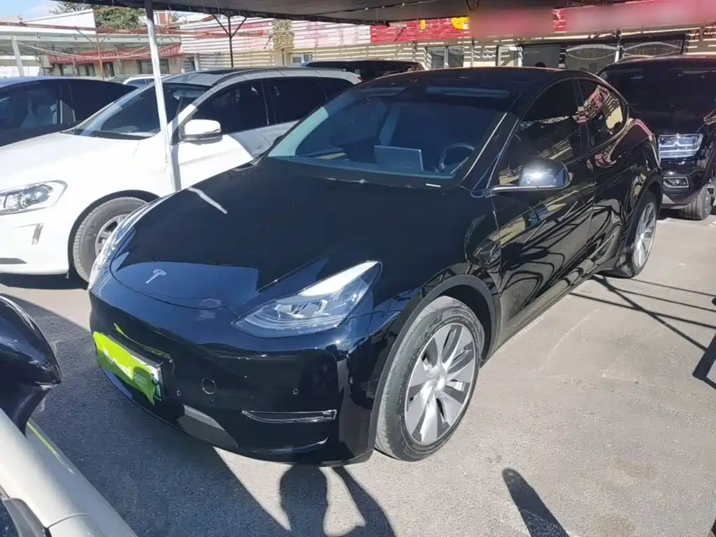 Tesla Model Y — миниатюра 2