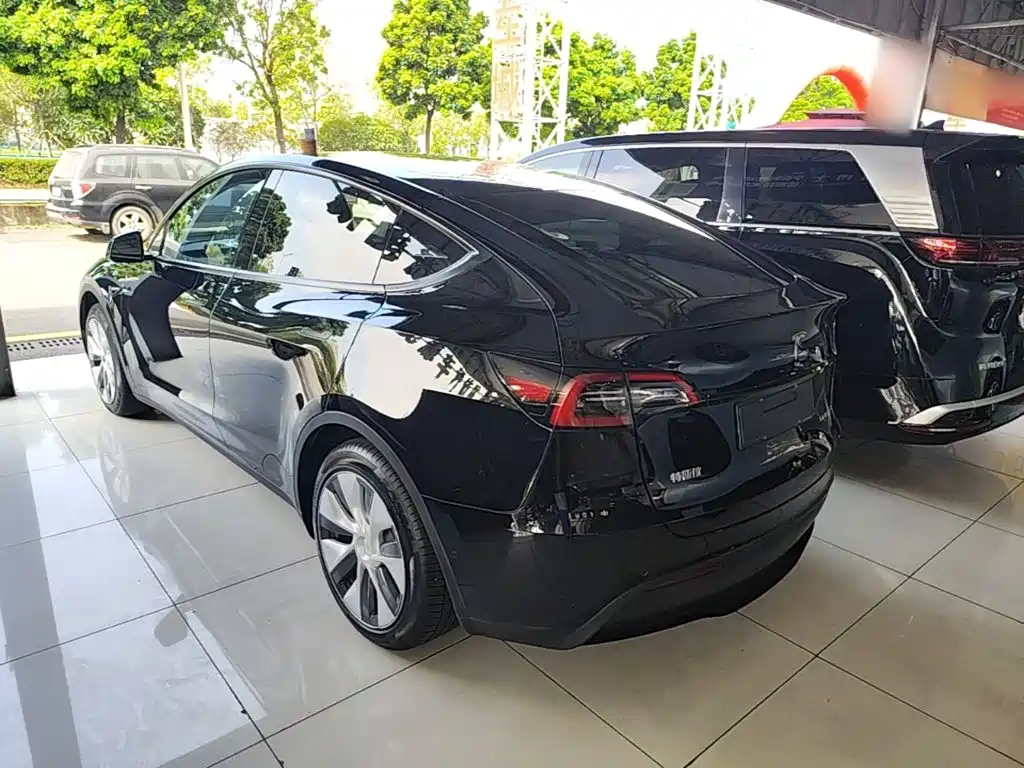 Tesla Model Y — миниатюра 5