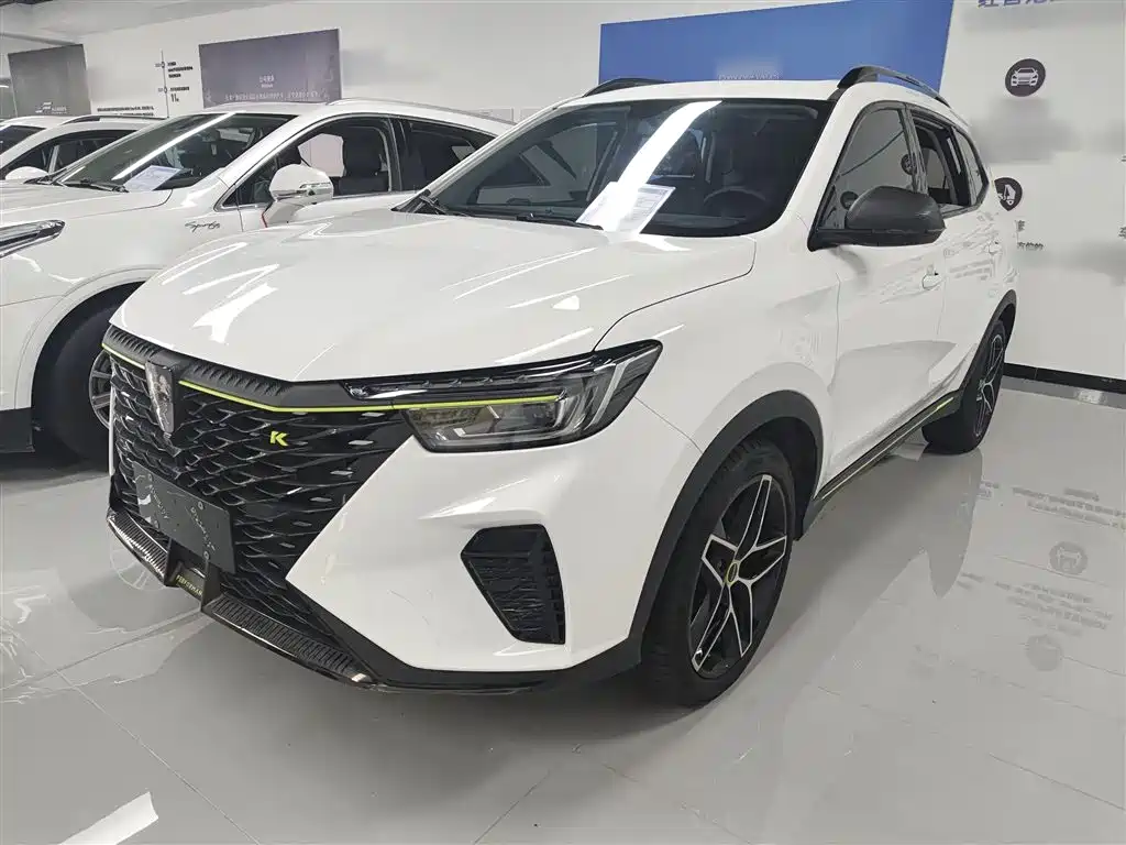 ROEWE RX5