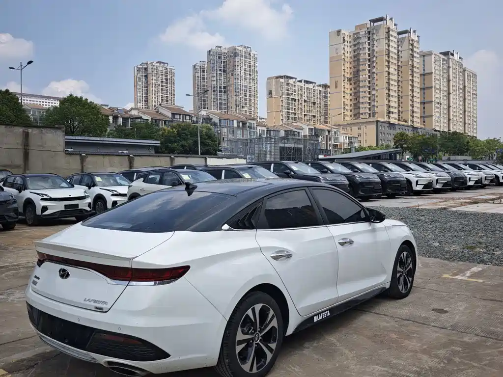 Hyundai Fista — миниатюра 10