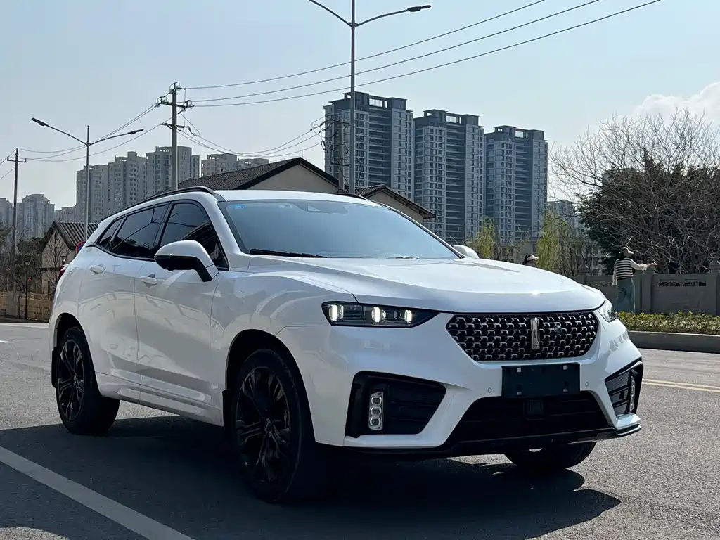 Wey Wey VV7 — миниатюра 2