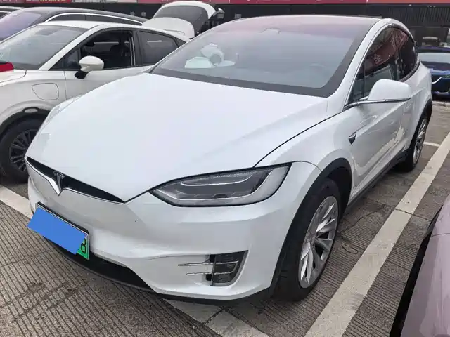 TESLA MODEL X 2019