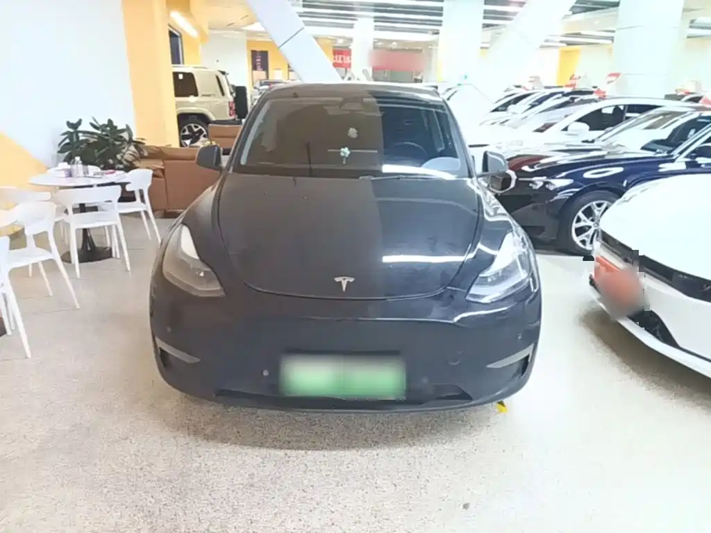 Tesla Model Y — миниатюра 3