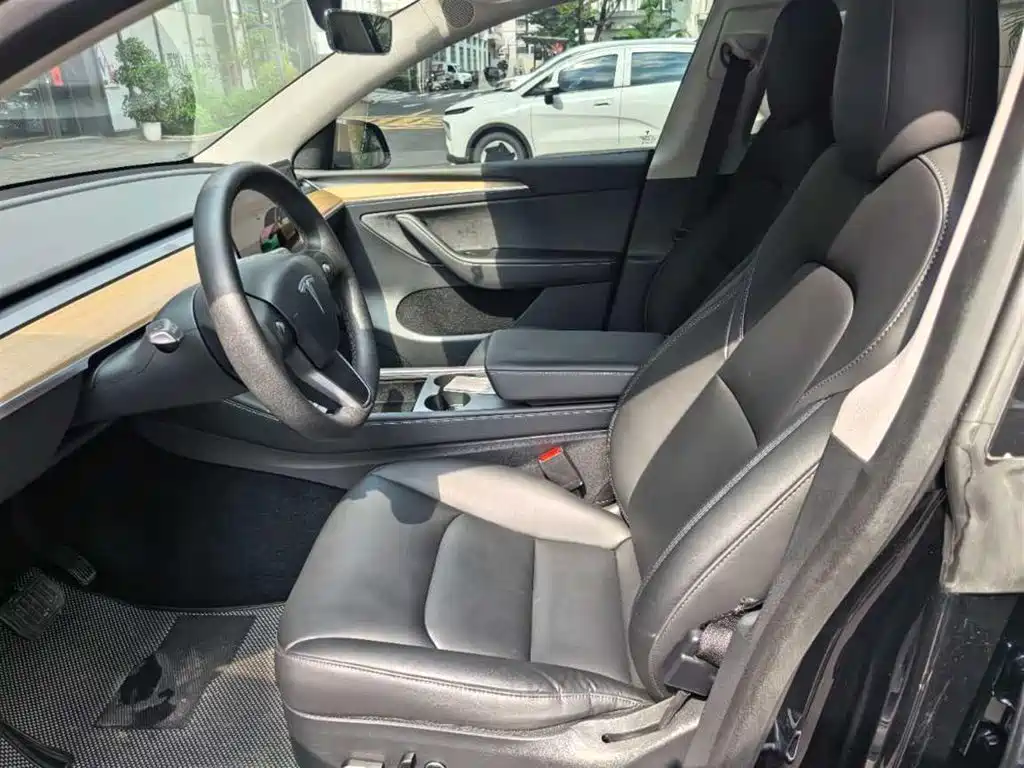 Tesla Model Y — миниатюра 4