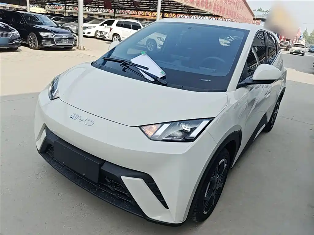 Byd Seagull 2025