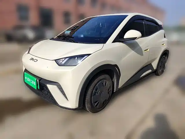 BYD Seagull
