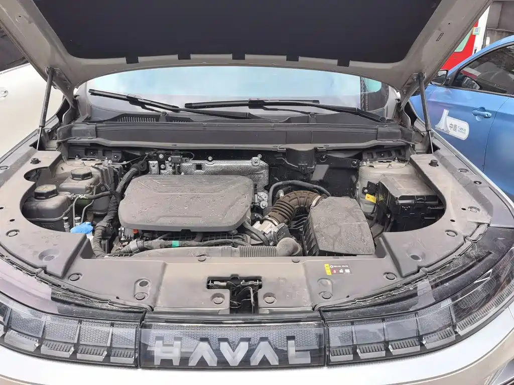 Haval Xiaolong MAX — миниатюра 16