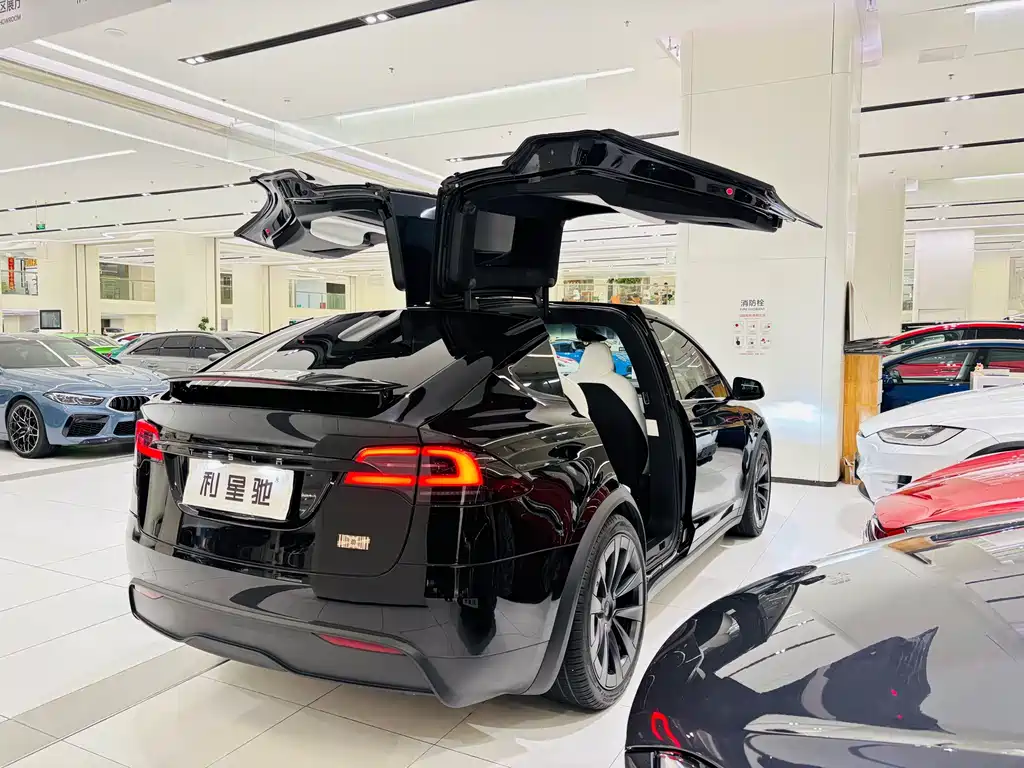 Tesla Model X — миниатюра 4