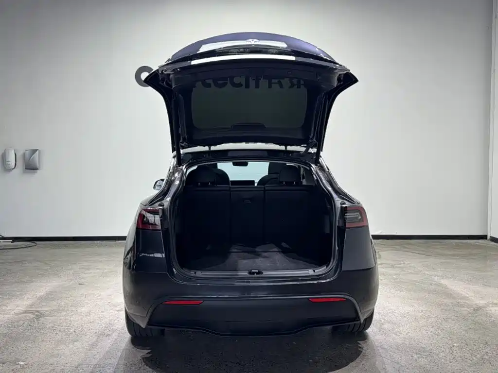 Tesla Model Y — миниатюра 14