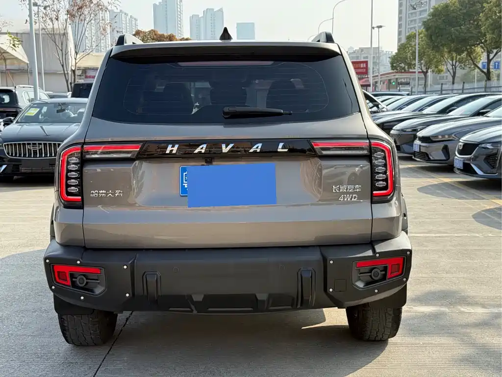HAVAL BIG DOG